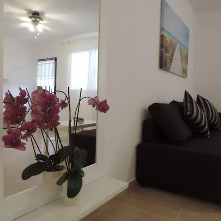 Blue Turtle Apartment, Next To The Apartamento *