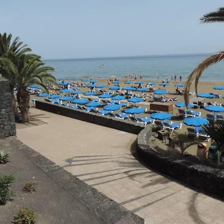 Blue Turtle Apartment, Next To The Apartamento *